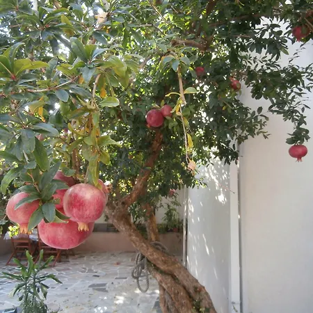 Maison d'hôtes Song 4*
