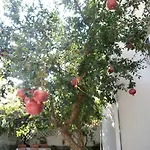 Guest house Song 4*
